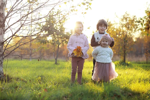 Familia Joven Paseo Por Parque Otoño Día Soleado Felicidad Estar —  Fotos de Stock