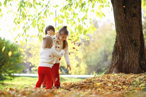 Dzieci Spacer Jesiennym Parku Liść Spadł Parku Rodzinę Upadek Szczęście — Zdjęcie stockowe
