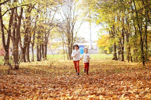 Familia Joven Paseo Por Parque Otoño Día Soleado Felicidad Estar —  Fotos de Stock