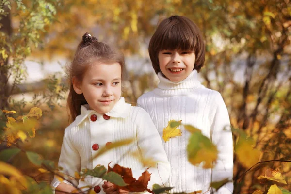 Jonge Familie Een Wandeling Het Herfstpark Zonnige Dag Geluk Samen — Stockfoto