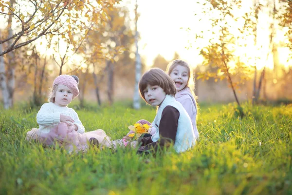Família Jovem Passeio Parque Outono Dia Ensolarado Felicidade Estar Juntos — Fotografia de Stock