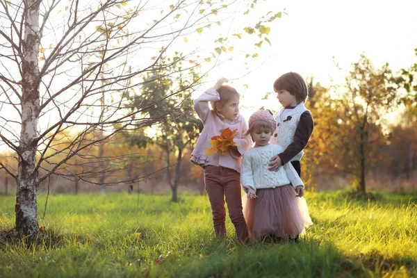 Молода Сім Прогулянці Осінньому Парку Сонячний День Щастя Бути Разом — стокове фото