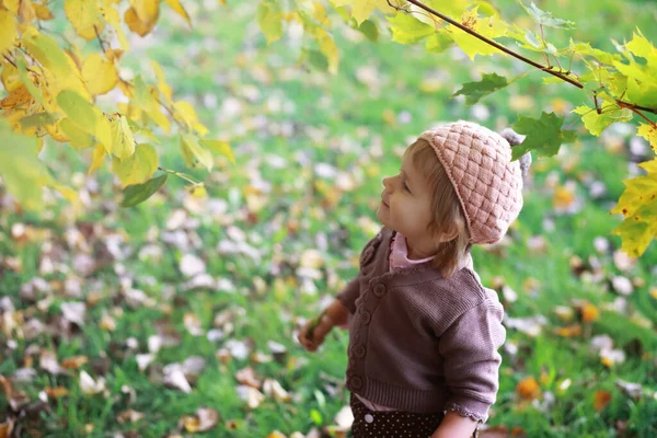 Jonge Familie Een Wandeling Het Herfstpark Zonnige Dag Geluk Samen — Stockfoto