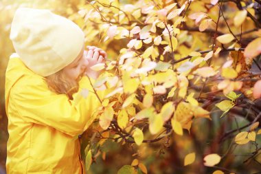 Çocuklar sonbahar parkında sonbaharda yürürler