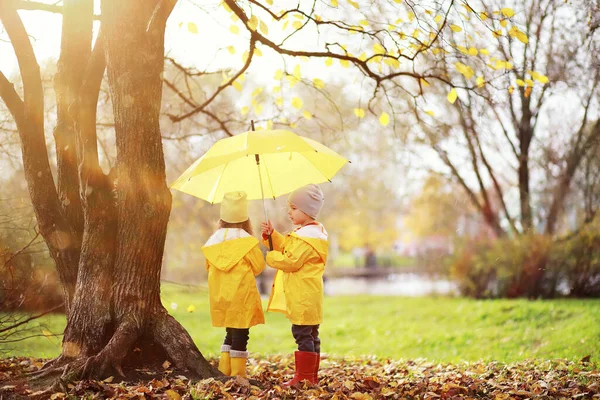 Les Enfants Marchent Dans Parc Automne Dans Fal — Photo