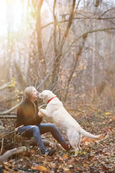 Ung Flicka Med Hund Promenad Höstträdgården — Stockfoto