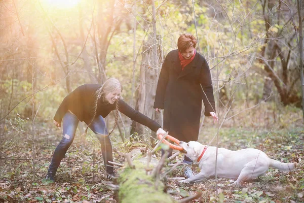 Ung Flicka Promenad Med Hund Höstträdgården — Stockfoto