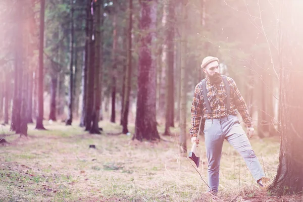 Бородатий Лісоруб Великою Сокирою Оглядає Дерево Перед Падінням — стокове фото