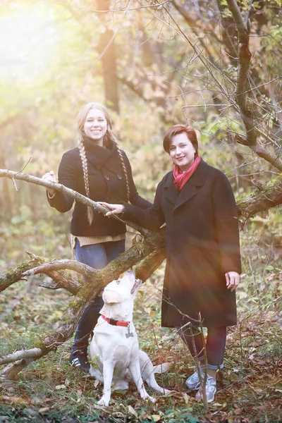 Ung Flicka Promenad Med Hund Höstträdgården — Stockfoto