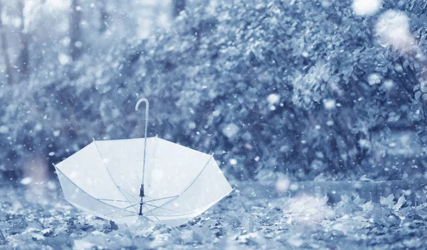 Paraguas Suelo Parque Con Primera Nieve — Foto de Stock