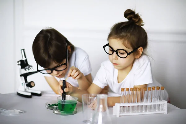 Duas Crianças Bonitas Aula Química Fazendo Experimentos Isolados Backgroun Branco — Fotografia de Stock