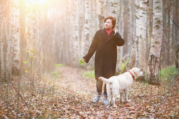 Mulher Atraente Com Cão Passeio Outono Garded — Fotografia de Stock