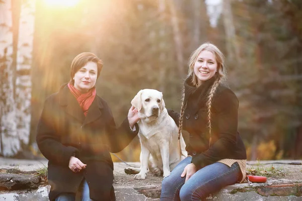 Ung Flicka Promenad Med Hund Höstträdgården — Stockfoto