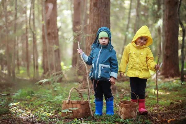 Dorfkinder Spazieren Durch Den Herbstlichen Wald Und Sammeln Pilze Kinder — Stockfoto