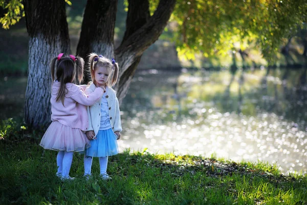 Caída Hojas Parque Niños Dando Paseo Por Parque Otoño Familia —  Fotos de Stock