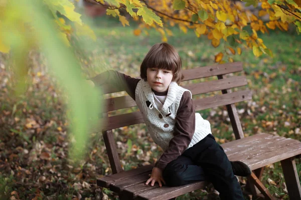 Young Family Walk Autumn Park Sunny Day Happiness Together — Stock Photo, Image