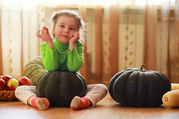 Petit Enfant Choisir Une Citrouille Automne Enfant Assis Sur Une — Photo