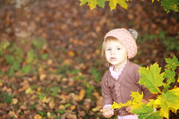 Jonge Familie Een Wandeling Het Herfstpark Zonnige Dag Geluk Samen — Stockfoto