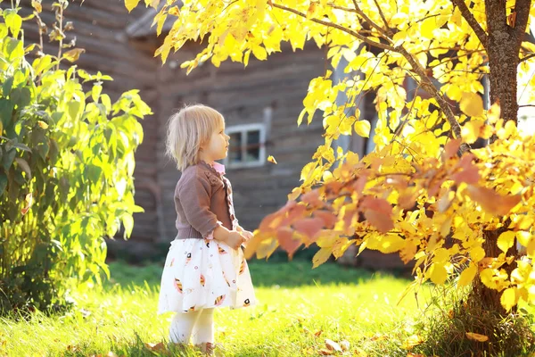 Familia Joven Paseo Por Parque Otoño Día Soleado Felicidad Estar — Foto de Stock