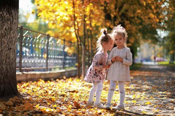 Caída Hojas Parque Niños Dando Paseo Por Parque Otoño Familia —  Fotos de Stock