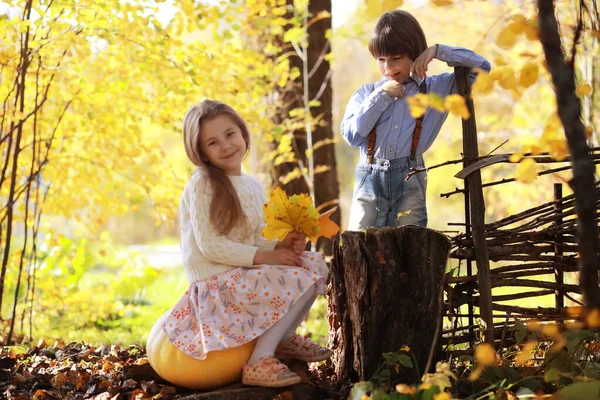 Giovane Famiglia Una Passeggiata Nel Parco Autunnale Nella Giornata Sole — Foto Stock