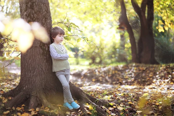 Bambini Con Valigette Una Passeggiata Nel Parco Vacanza Scolastica Inizio — Foto Stock