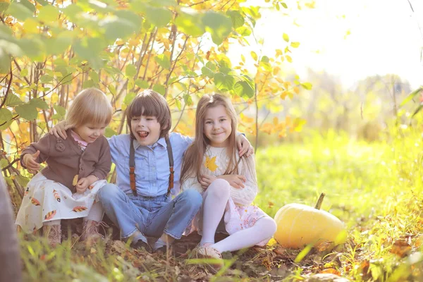 Junge Familie Bei Einem Spaziergang Herbstpark Einem Sonnigen Tag Das — Stockfoto