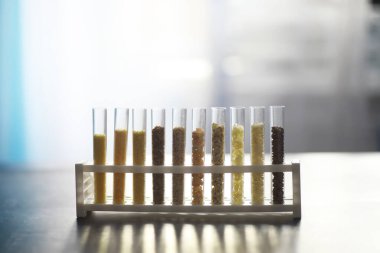 Seçim bitkilerinin tohumlarıyla test tüpleri. Laboratuvardaki Tarım Tahılları ve Tohumları İnceleme Araştırması