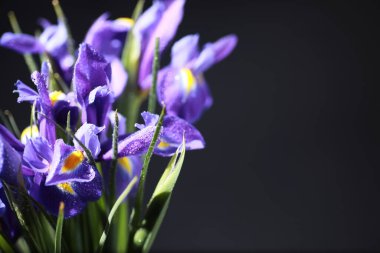 Bir buket taze çiçek. Sevdiğine bayram hediyesi. Sevgililer Günü arkaplanı. Gül, lale, Iris çiçek aranjmanı.