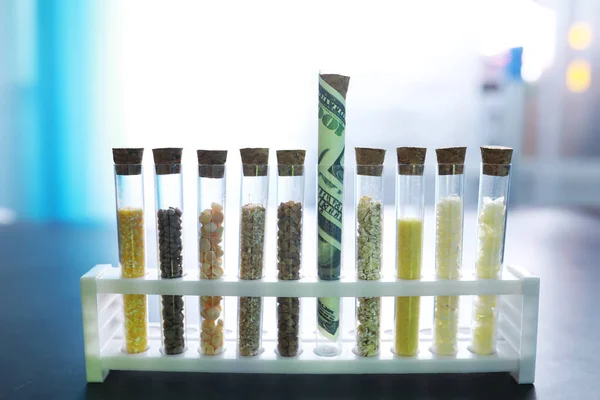 Tubos Ensayo Con Semillas Plantas Selección Investigación Analizando Granos Semillas —  Fotos de Stock