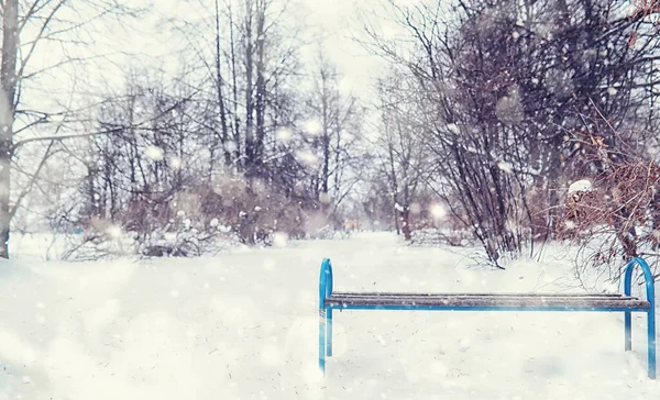 눈덮인 나무들 공원에서 서리가 내리던 — 스톡 사진