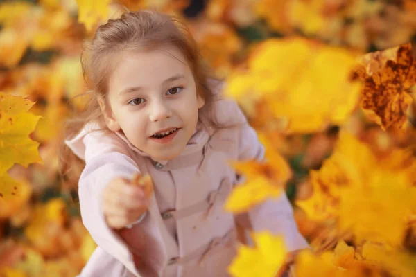 Jeune Famille Promenade Dans Parc Automne Par Une Journée Ensoleillée — Photo