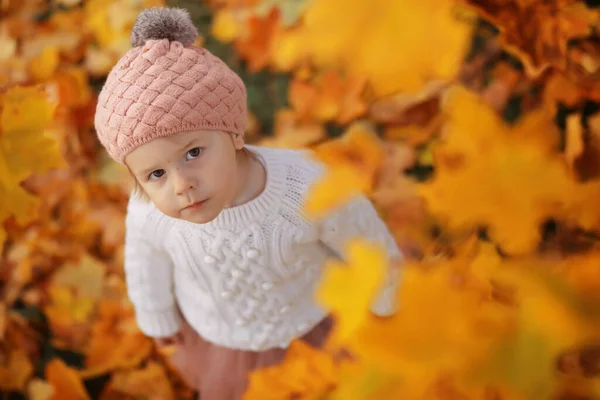 Jonge Familie Een Wandeling Het Herfstpark Zonnige Dag Geluk Samen — Stockfoto