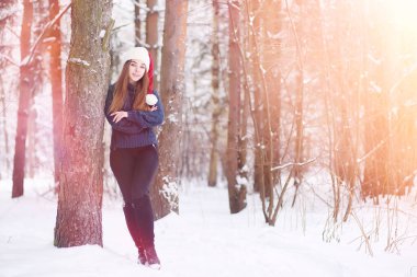 Kış parkında yürüyüş yapan genç bir kız. Kış ormanlarında Noel tatili. Kız parkta kışın tadını çıkarıyor.
