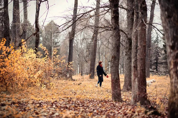 Vrouw Met Hond Een Wandeling Herfsttuin — Stockfoto