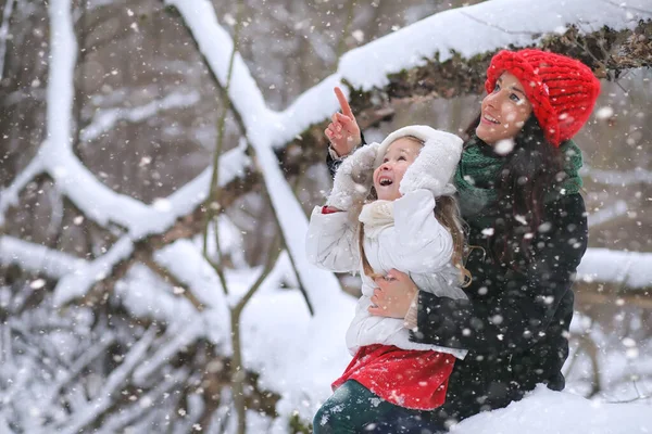 Kış Masalı Genç Bir Anne Kızı Ormanda Kızağa Biniyorlar Parkta — Stok fotoğraf