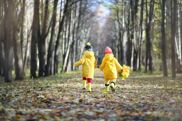 Little Children Walking Autumn Park Fall Leave — Stock Photo, Image