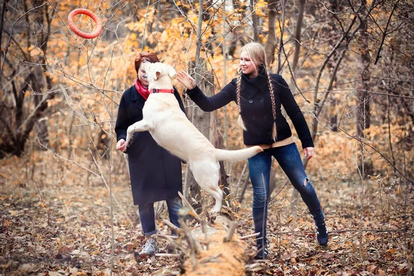 Ung Flicka Med Mamma Och Hund Promenad Höstträdgården — Stockfoto