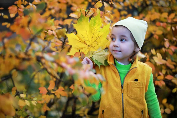 Barnen Går Höstparken Hösten — Stockfoto