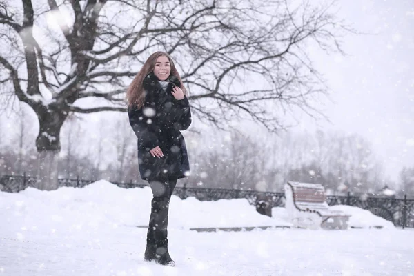 Κορίτσι Ένα Χειμερινό Πάρκο Απόγευμα Χιονοθύελλα — Φωτογραφία Αρχείου