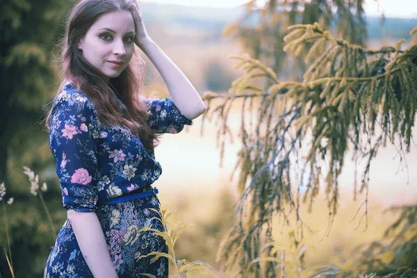 Menina Grávida Vestido Natureza Wal — Fotografia de Stock