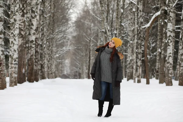 Belle Fille Dans Beau Parc Hiver Pour Une Promenade — Photo