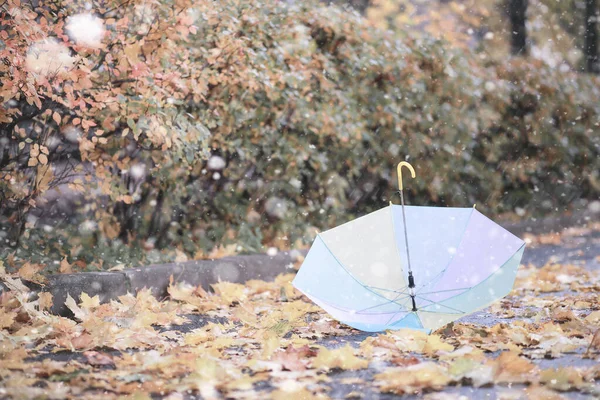 Deštník Zemi Mezi Spadlými Žlutými Podzimními Listy — Stock fotografie