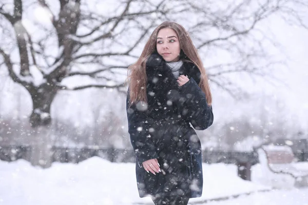 Meisje Een Winterpark Middag Snowfal — Stockfoto