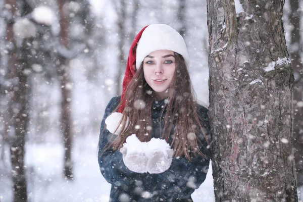 Девушка Зимнем Парке Днем Снегопаде — стоковое фото