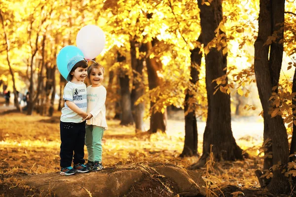 Mijn Lieve Kinderen Lopen Herfst Park — Stockfoto