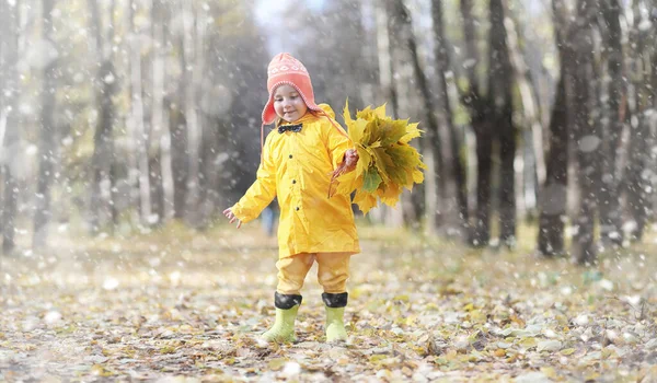 幼儿在秋季公园散步 第一次霜冻和秋季森林的第一场雪 孩子们在公园里玩雪和树叶 — 图库照片