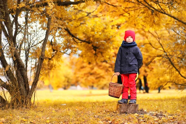 Familjen i höst park på eftermiddagen — Stockfoto