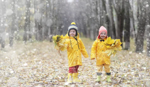 幼儿在秋季公园散步 第一次霜冻和秋季森林的第一场雪 孩子们在公园里玩雪和树叶 — 图库照片