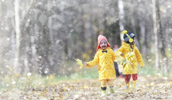 幼児は 秋の公園を散歩します 最初の霜と秋の森で最初の雪 お子様は雪や葉を公園で遊ぶ — ストック写真